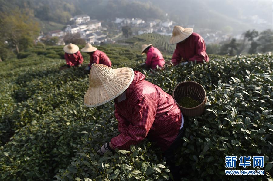 武汉有几家医院供卵,泰国试管骗局揭秘