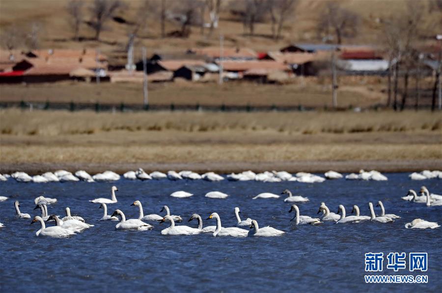 從盲目到精準：一張「過關表」如何翻轉你的博弈人生與財富格局 