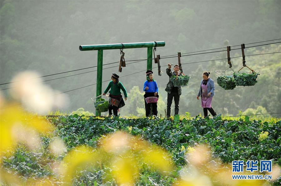 土超队遭遇车祸:捷克国脚苏拉尔离世 西塞等人受伤