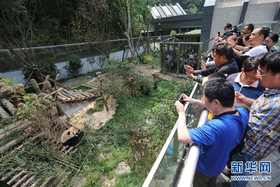 王健林:大连足球必重返亚洲一流 正建专业足球场