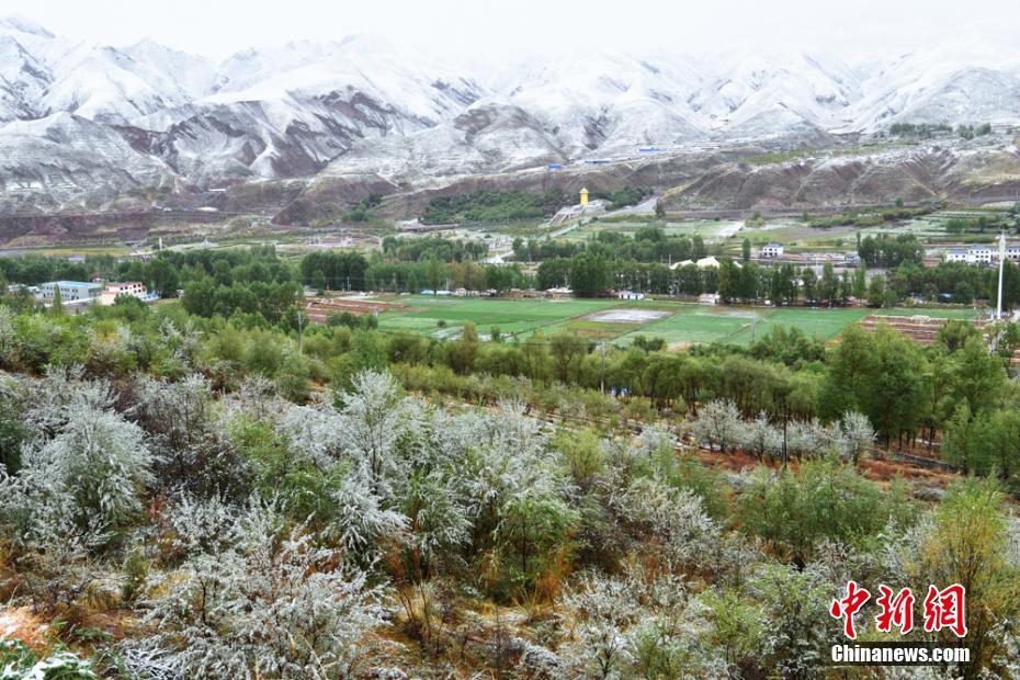 摄影师镜头下的北京，刚柔并济，恬淡悠远