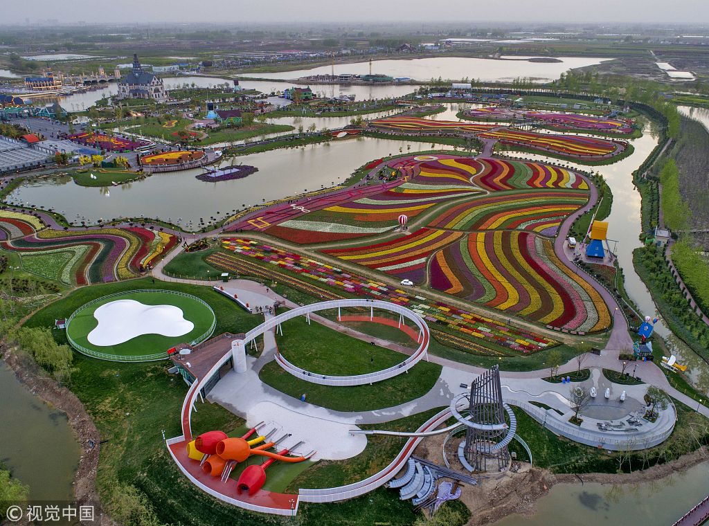 航拍绚丽荷兰花海 不在欧洲更胜一筹