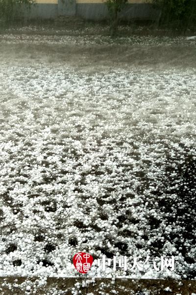 新奥天天彩免费大全,详细解答、解释与落实