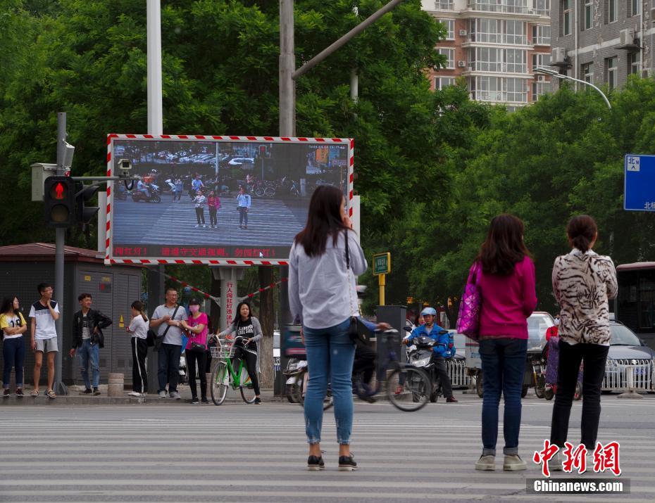 独立鱼：每集4分钟的沙雕剧，每一帧都笑出腹肌