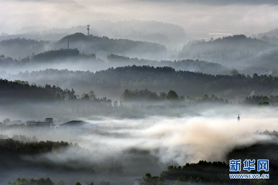 我想吃火锅是什么梗