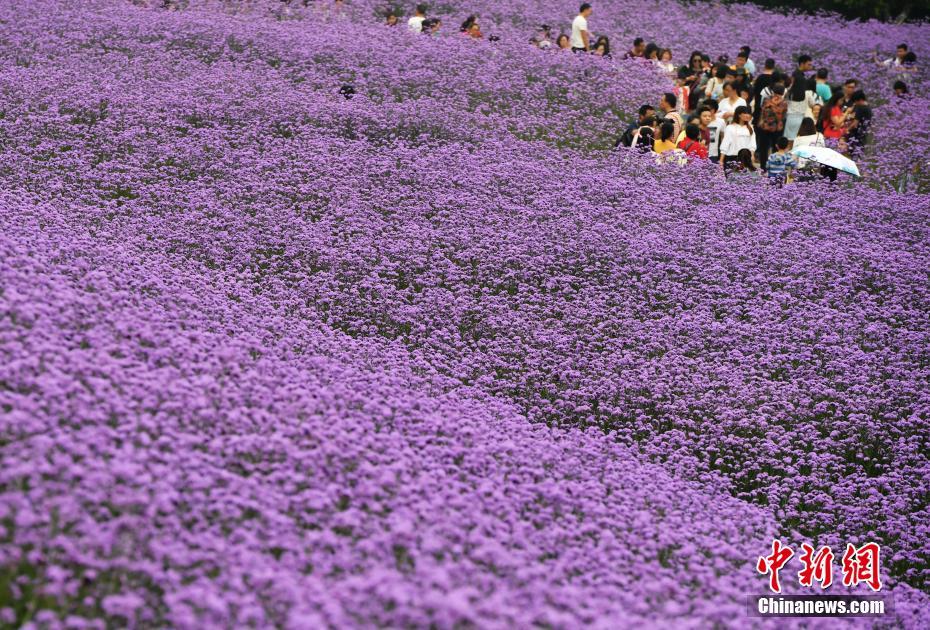 港漫、武俠與時代記憶：www.gameone 守護香港遊戲魂的二十載奇幻旅程 