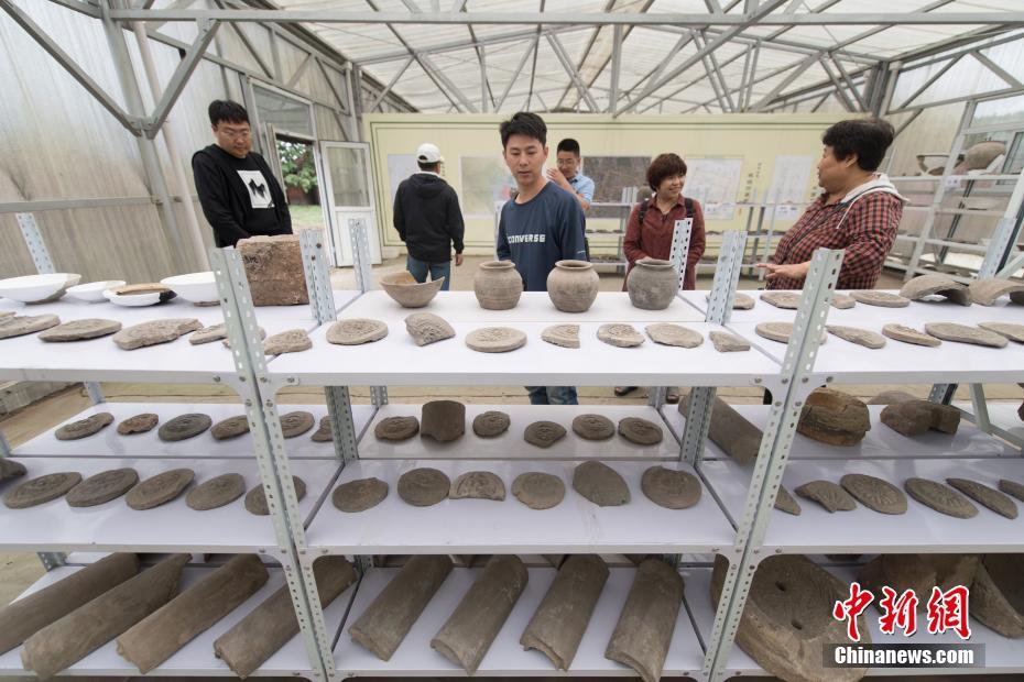 阜阳市：“小甜橙”志愿服务一道“甜蜜”的风景线