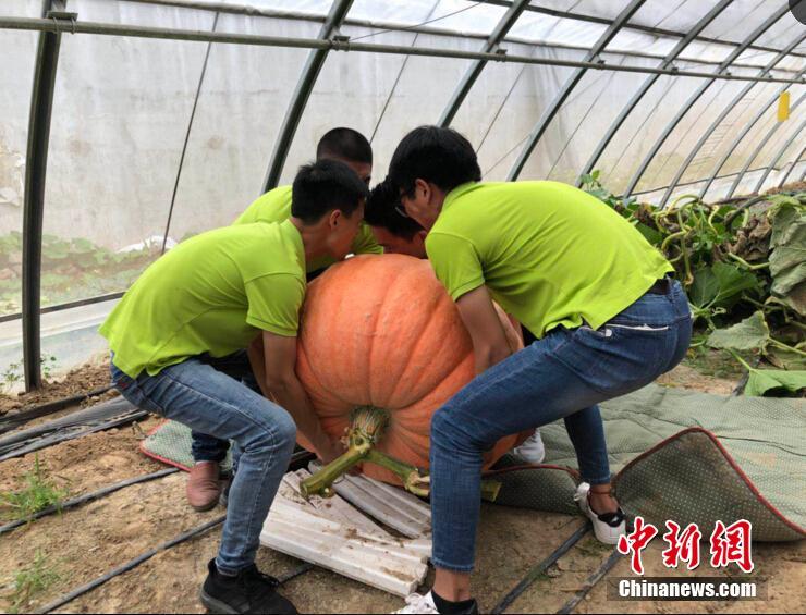 沪苏浙皖共推长三角教育现代化