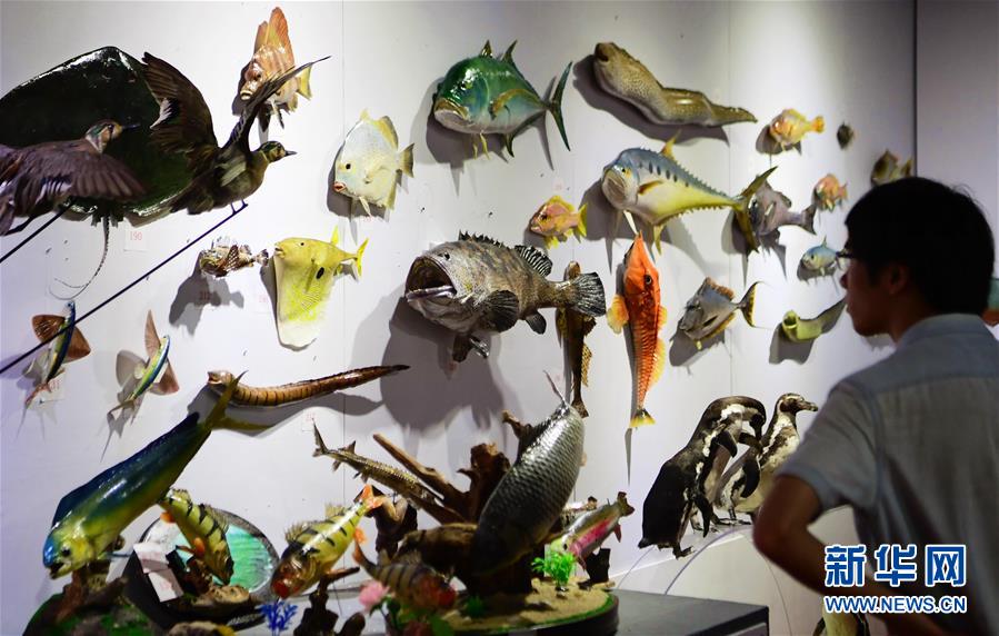 中国历代钱币展在含山展出