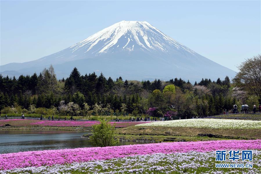 野山坡属于那个地区