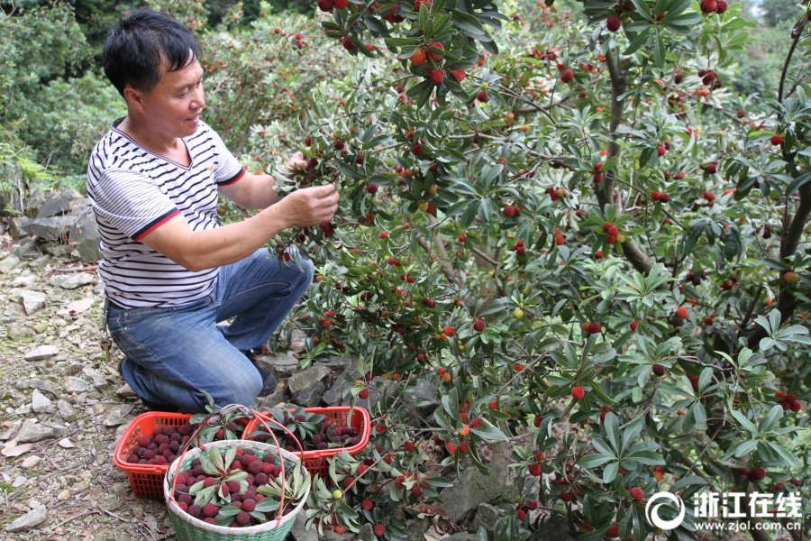 十元買個(gè)夢(mèng)：揭秘六合彩一注幾錢背後的發(fā)達(dá)玄機(jī)與心跳回憶 