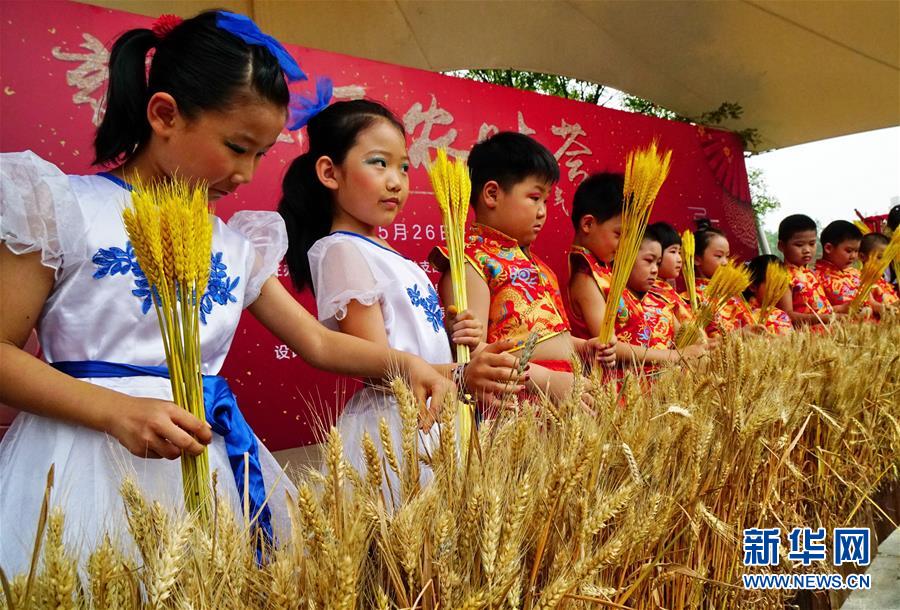 手动剃须刀可以带上飞机吗