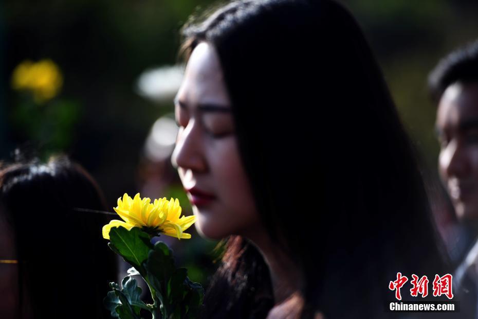 跳水射击再度冲金中国女排力拼美国
