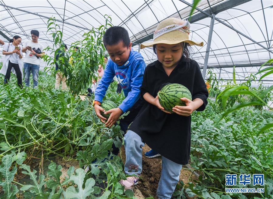河南農業大學 關注留守兒童  讓社會多份愛
