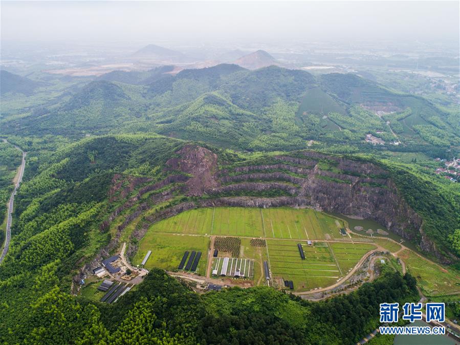 只有冬夏再无春秋什么梗