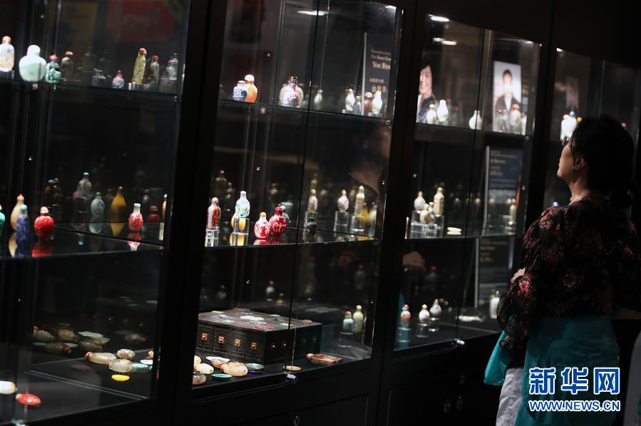 財富密碼的終極對決：揭秘「六合彩必中法」，讓你從此告別陪跑命運！ 