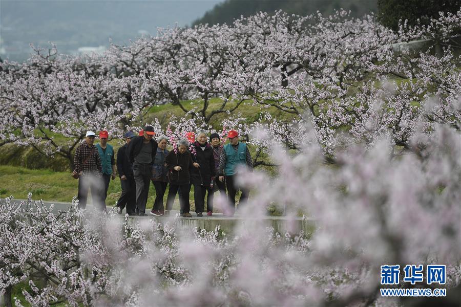 《妻子2》包文婧因为一件衣服，整季节目树立的口碑全毁了