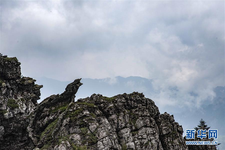 输入法起家，上市后“跳楼机式”大跌，这家老牌出海公司怎么了？