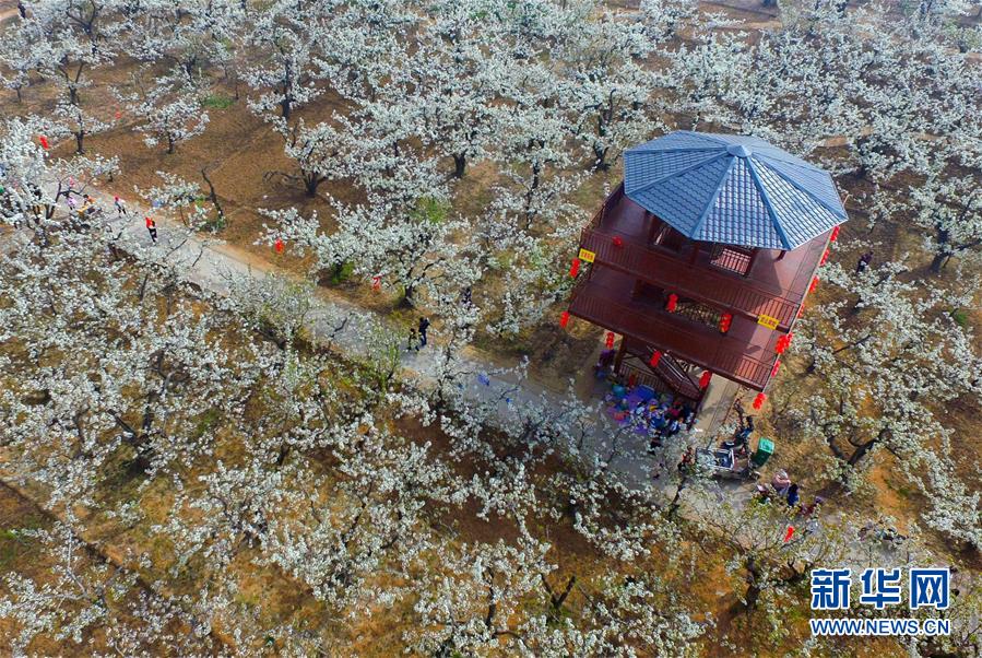 陇西步行街巷子,陇西县步行街