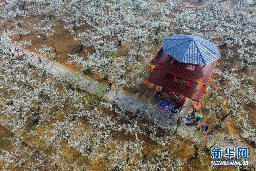 佛山代孕公司在哪_试管婴儿胚胎移植后保胎药需要用多久才能停