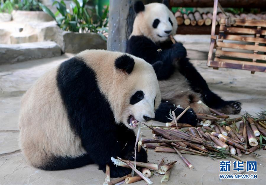 马鞍山李白国际户外旅游节开幕