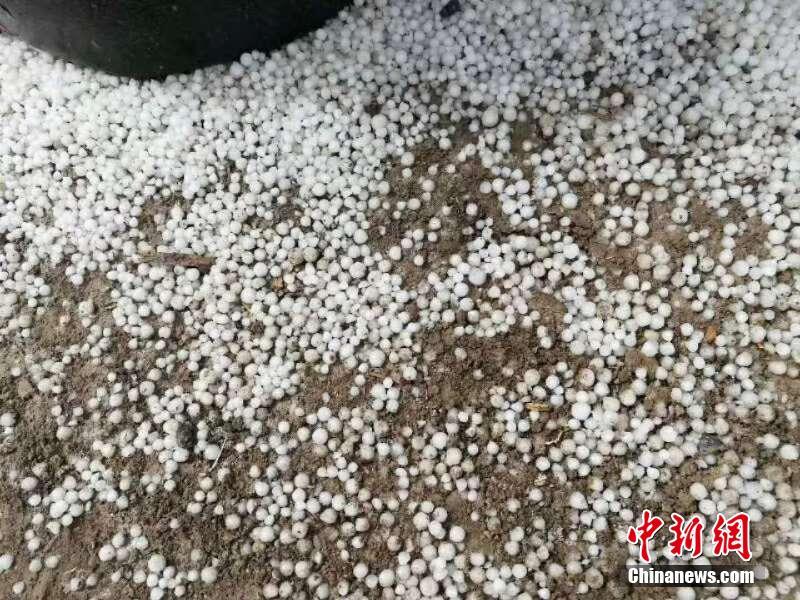李前平：老兵化身“白蚁战士”