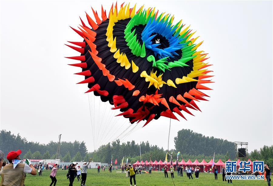 《花儿与少年》：综艺不是一场狂欢式的审判