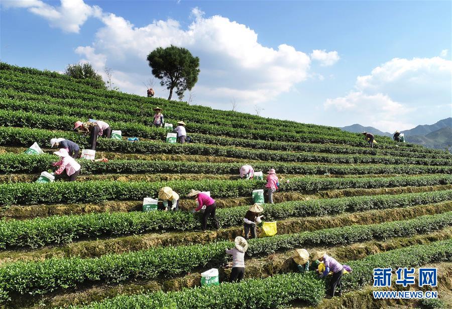 深圳给别人代怀多少钱-懂得看护自然坐褥侧切伤口避免伤口熏染留下疤痕