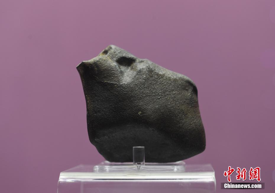 貂蝉与大兔子，动画世界里的奇幻之旅