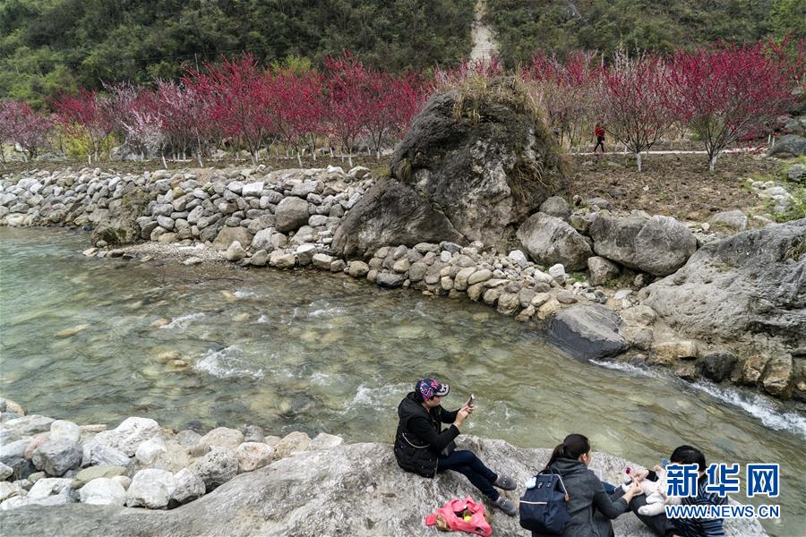 海棠花溪：繁花似锦，正是一年花好时