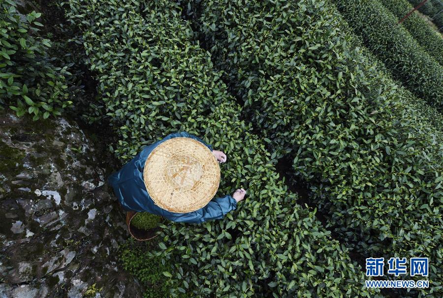 中超观察：强队不强弱队真弱 归化球员有惊喜吗？