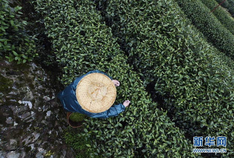 摄影基础知识：如何用手机拍好夜景？