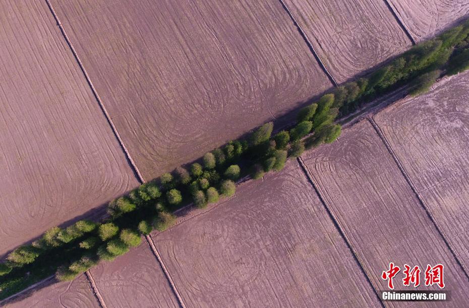  Air Jordan 3 情人节专属配色惊艳曝光