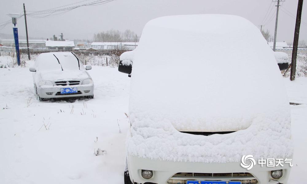 法外狂徒张三沃尔沃什么梗