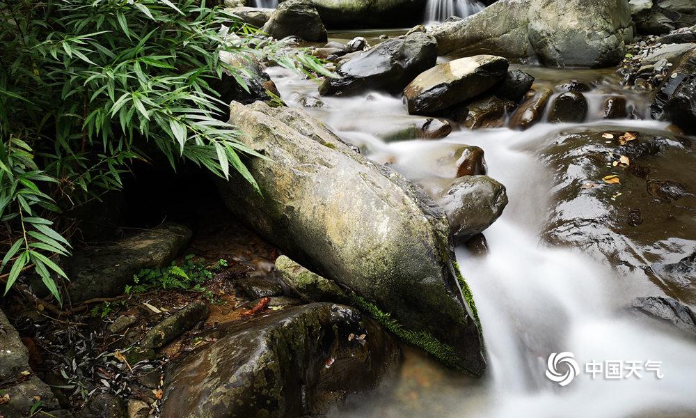 中環雲端下的法律守護者：揭秘「香港律師會」如何編織東方之珠的法治經緯 