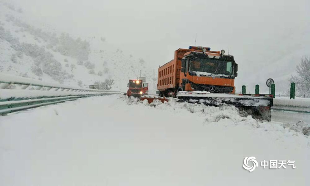 心跳與夢想的49個音符：為什麼全城都在瘋迷「六合彩開獎直播」？ 