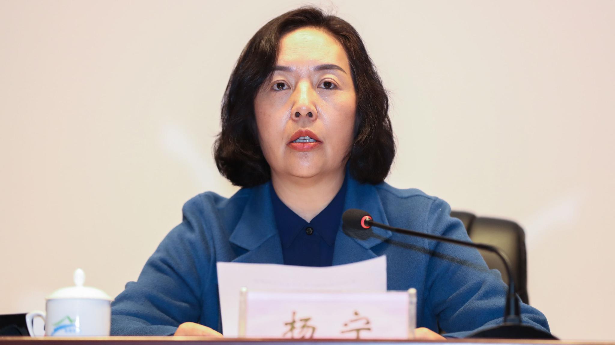 国家体育总局副局长杨宁在会上发言。 黄博 摄