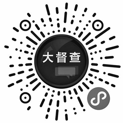 国办开展我为大督查提建议活动