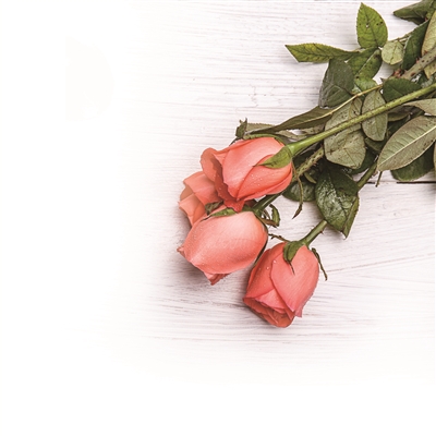 4成90后女生买花送母亲