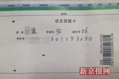 男人与漂亮小母马