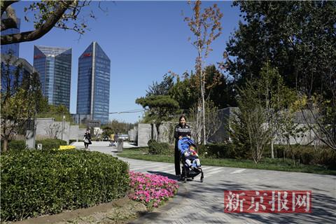 公園內景。新京報記者 王飛 攝