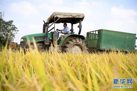ag娱乐客户端pc版本-药监局飞检长春长生发现其冻干人用狂犬病疫苗严重违反GMP
