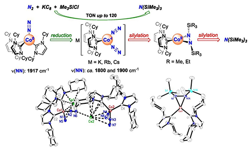 上海有机所金属有机化合物活化氮气研究取得进