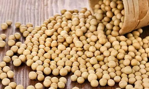 中国祭出大豆牌:美豆、美股期货应声大跌