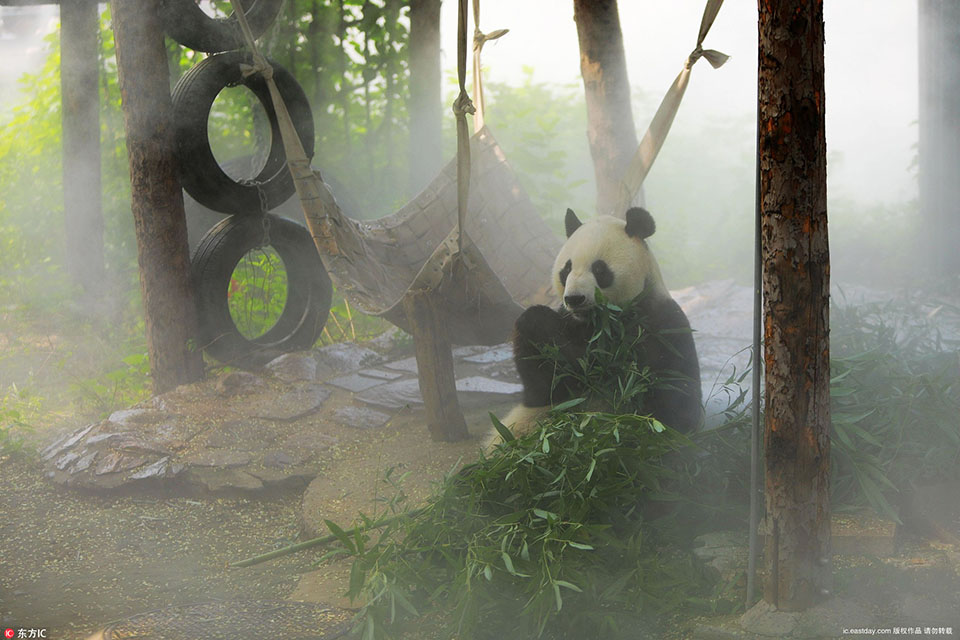 核桃仁做菜的菜譜 