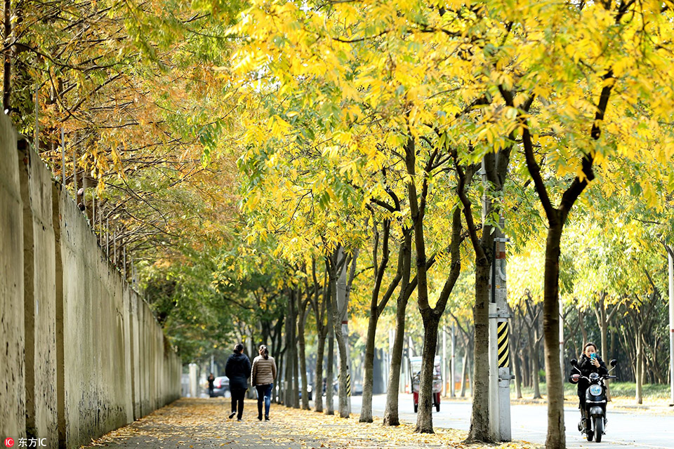 小两口，大路不走走小路，结果迷路了