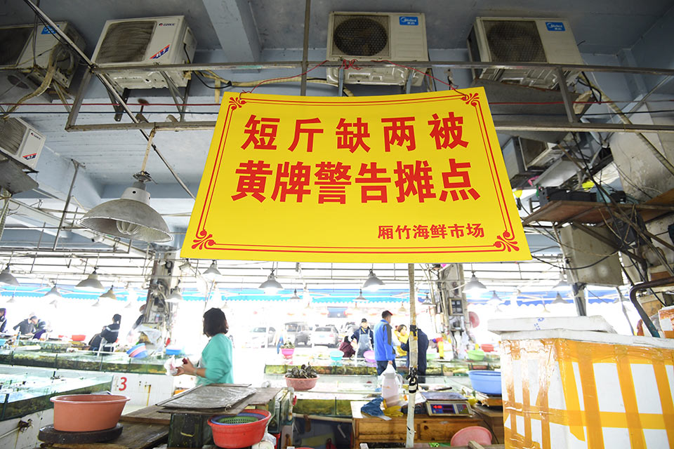 女白虎，在线视频与剧情介绍