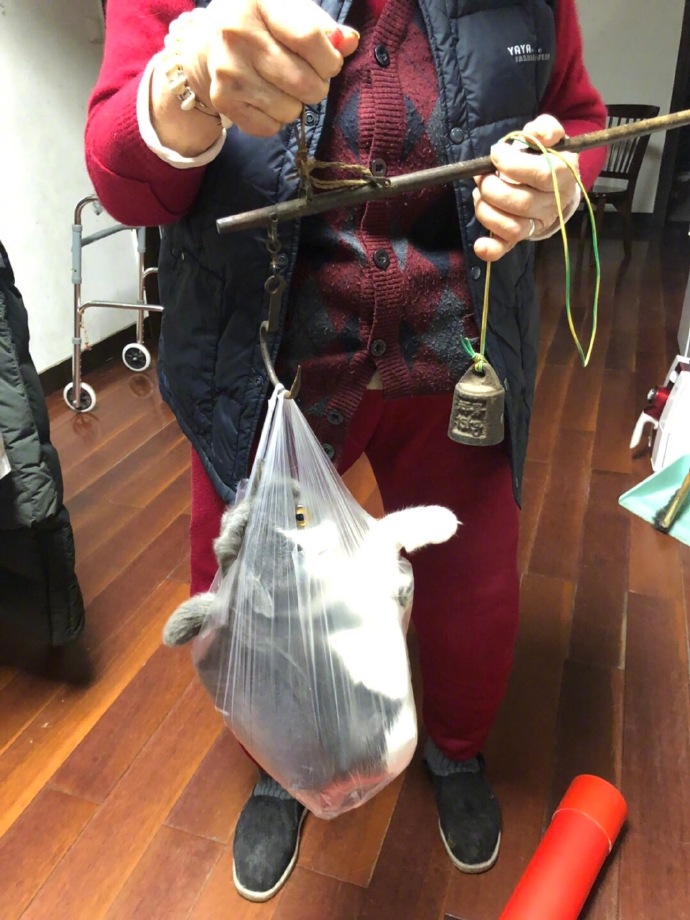 小两口去饭店找刺激 !每日轻松一刻3月2日晚间版