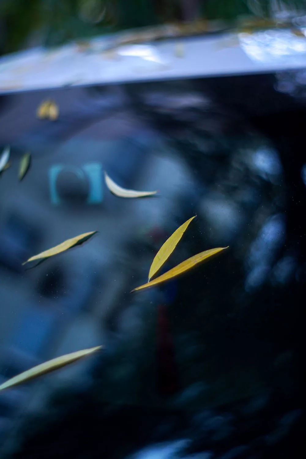 更智能更轻松 索尼Alpha 6100微单相机测评