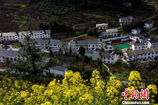 奉节乡镇人口_奉节地图乡镇分布图